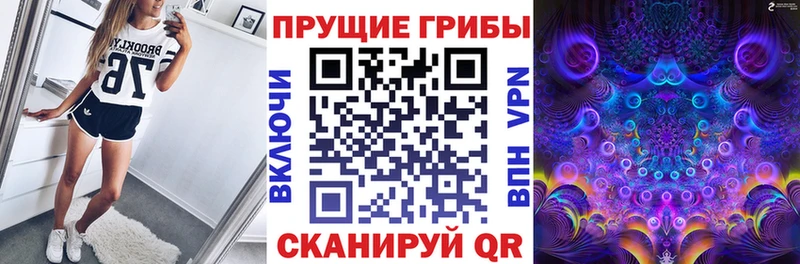 Псилоцибиновые грибы Psilocybe  Купить закладки  Озёры 